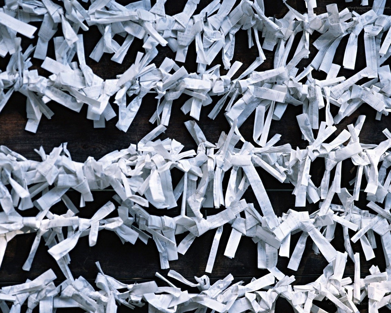 Shredded paper strips on wood