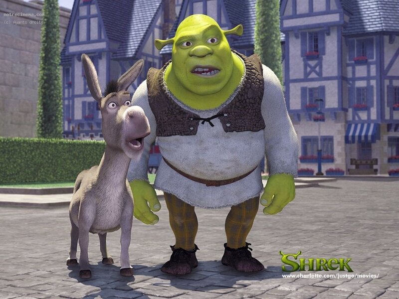 Shrek and Donkey in the village