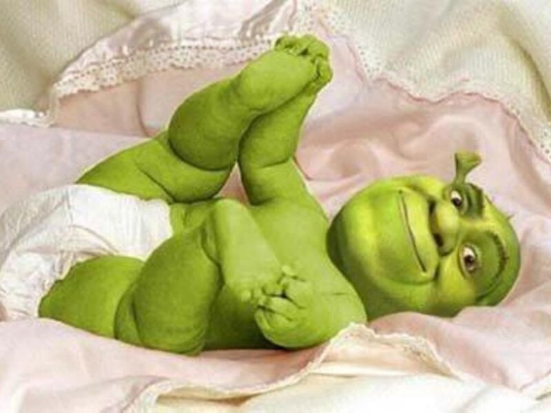 Shrek baby in a blanket