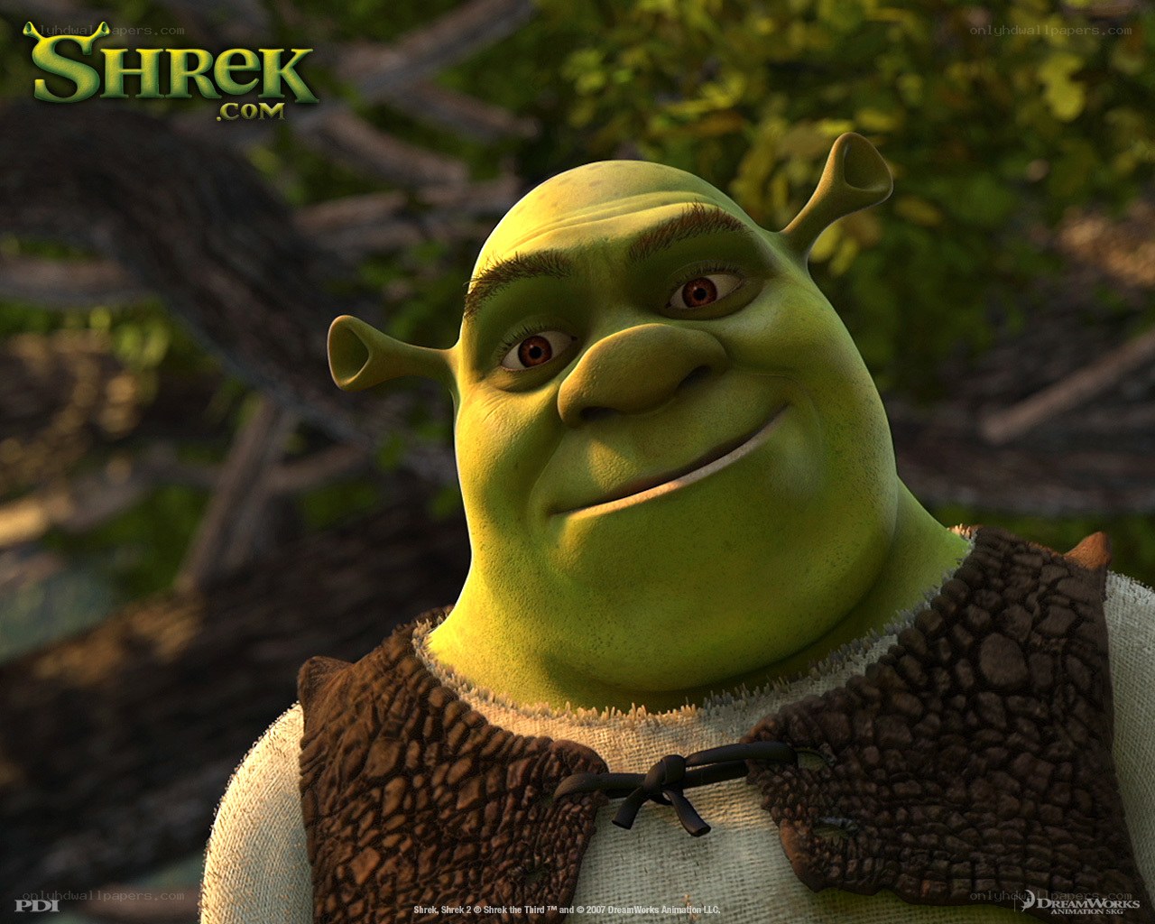 Shrek character portrait