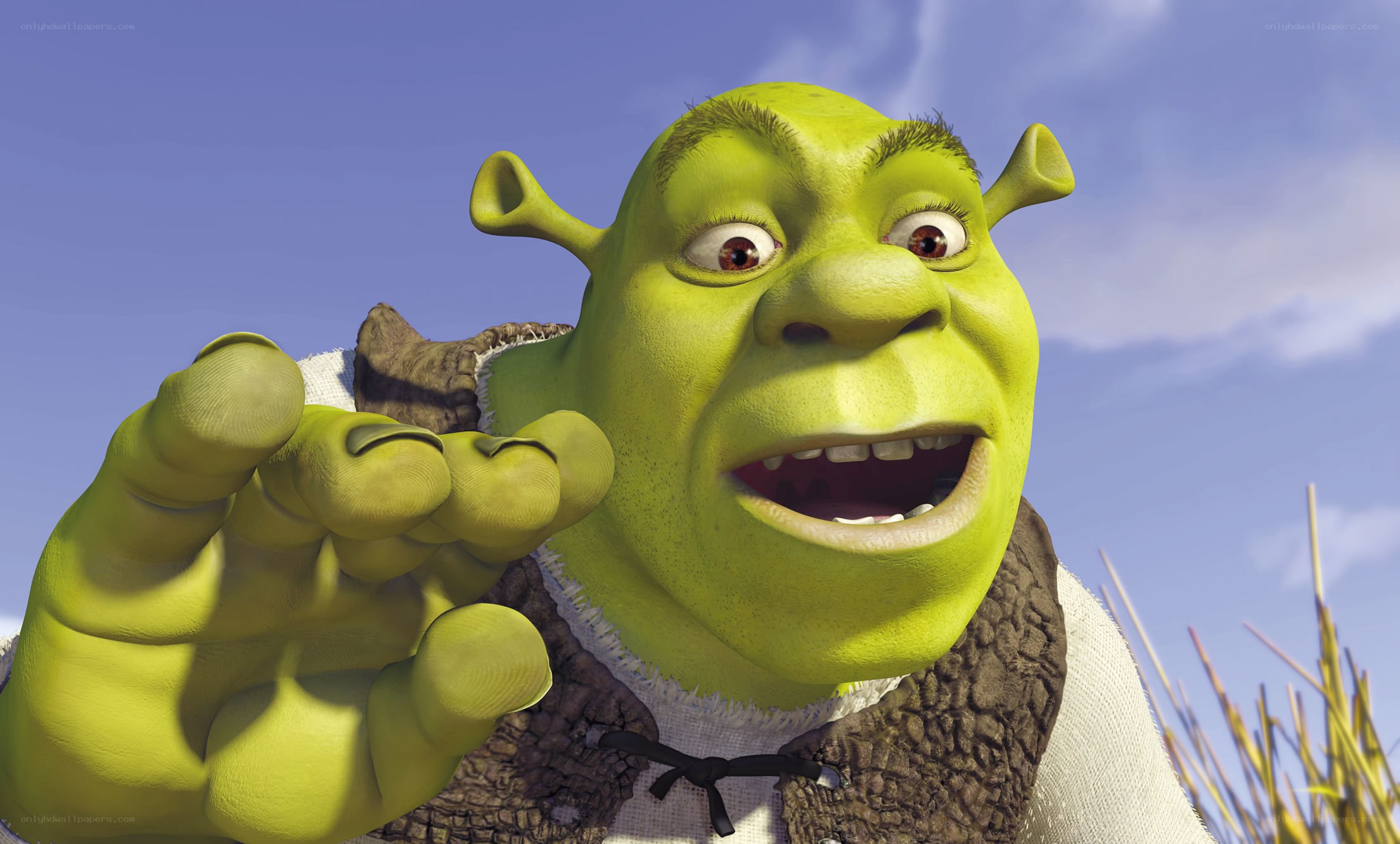 Shrek pointing at the camera