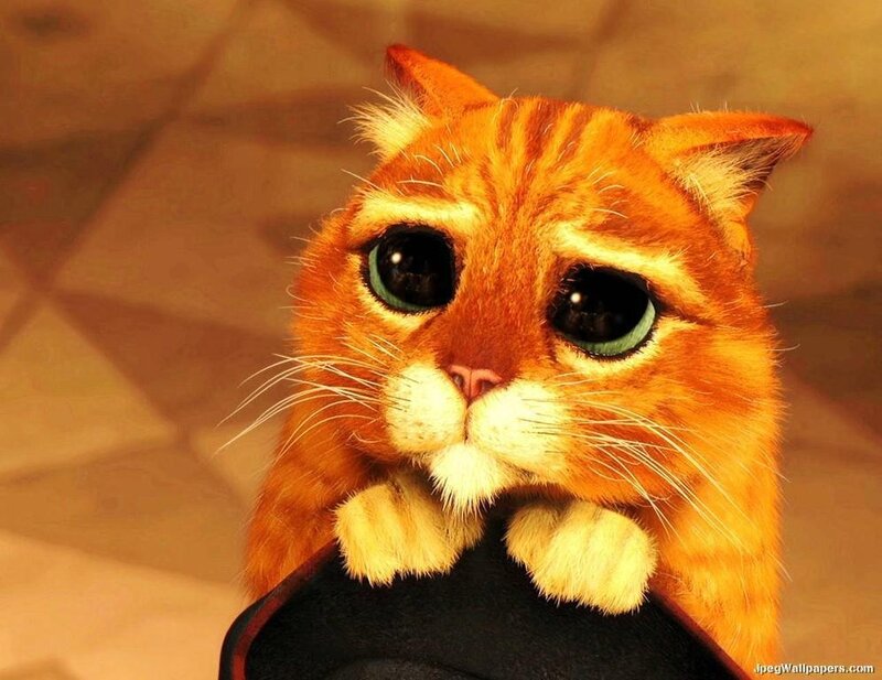 Shrek's cat character