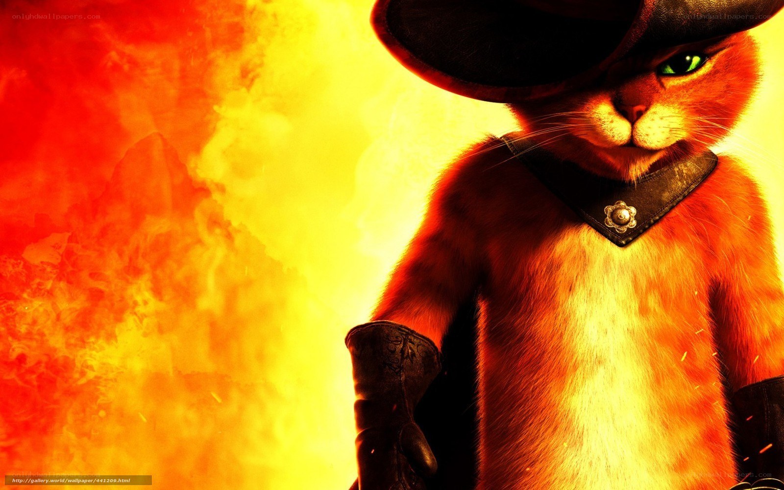 Shrek the Cat in Fire