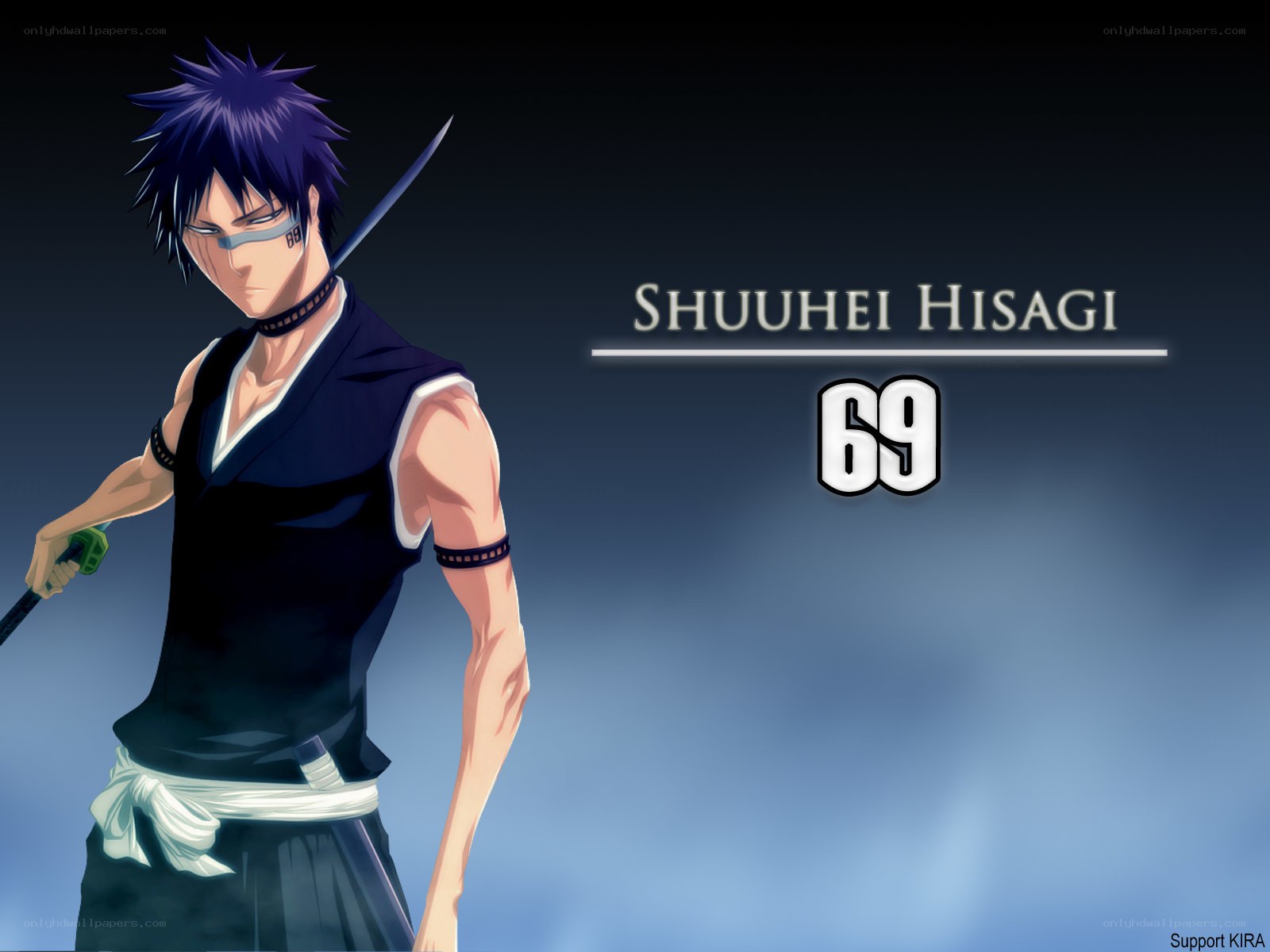 Shuhei Hisagi character art