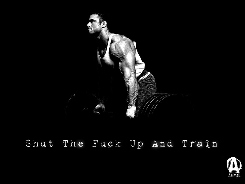 shut the fuck up and train