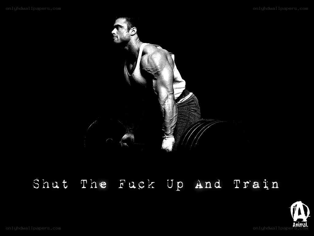 shut the fuck up and train