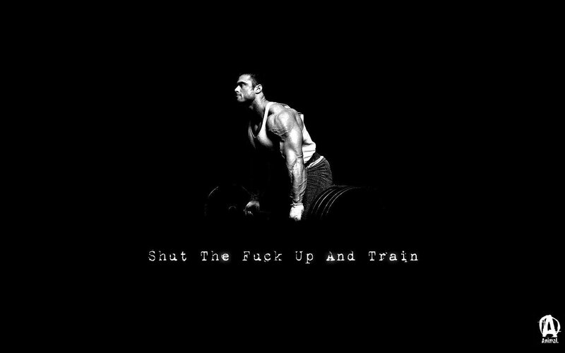 Shut Up And Train