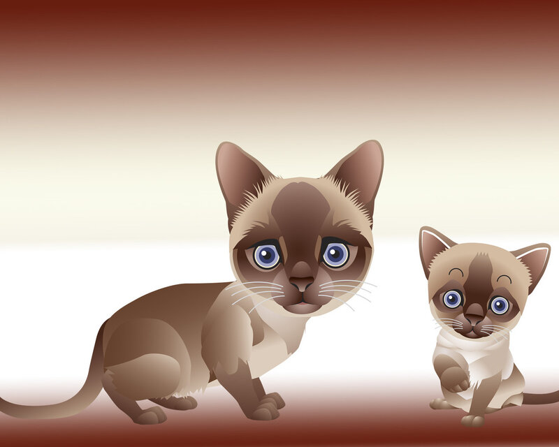 Siamese Cat and Kitten