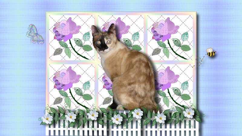 Siamese Cat in Garden — Purple