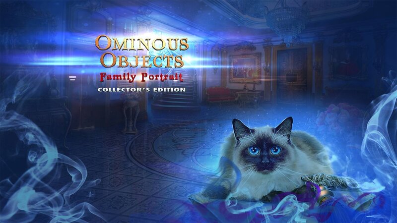 Siamese Cat in Hallway