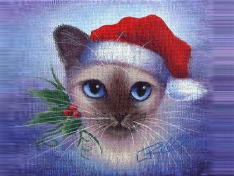 Siamese Cat in Santa Hat