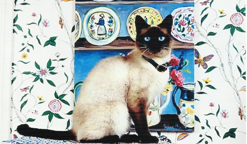Siamese Cat Sitting — Blue, Calm