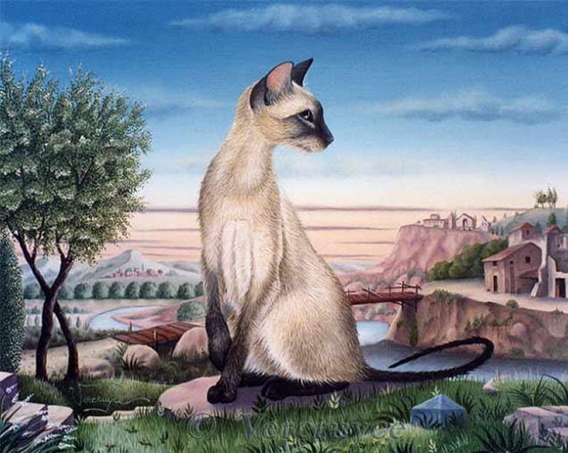 Siamese Cat Sitting — Blue
