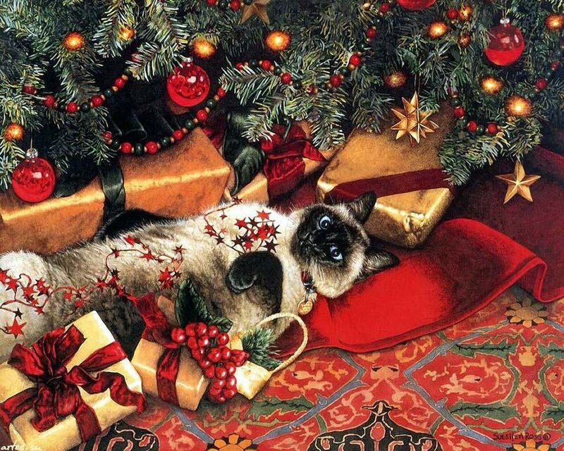 Siamese Cat under Tree