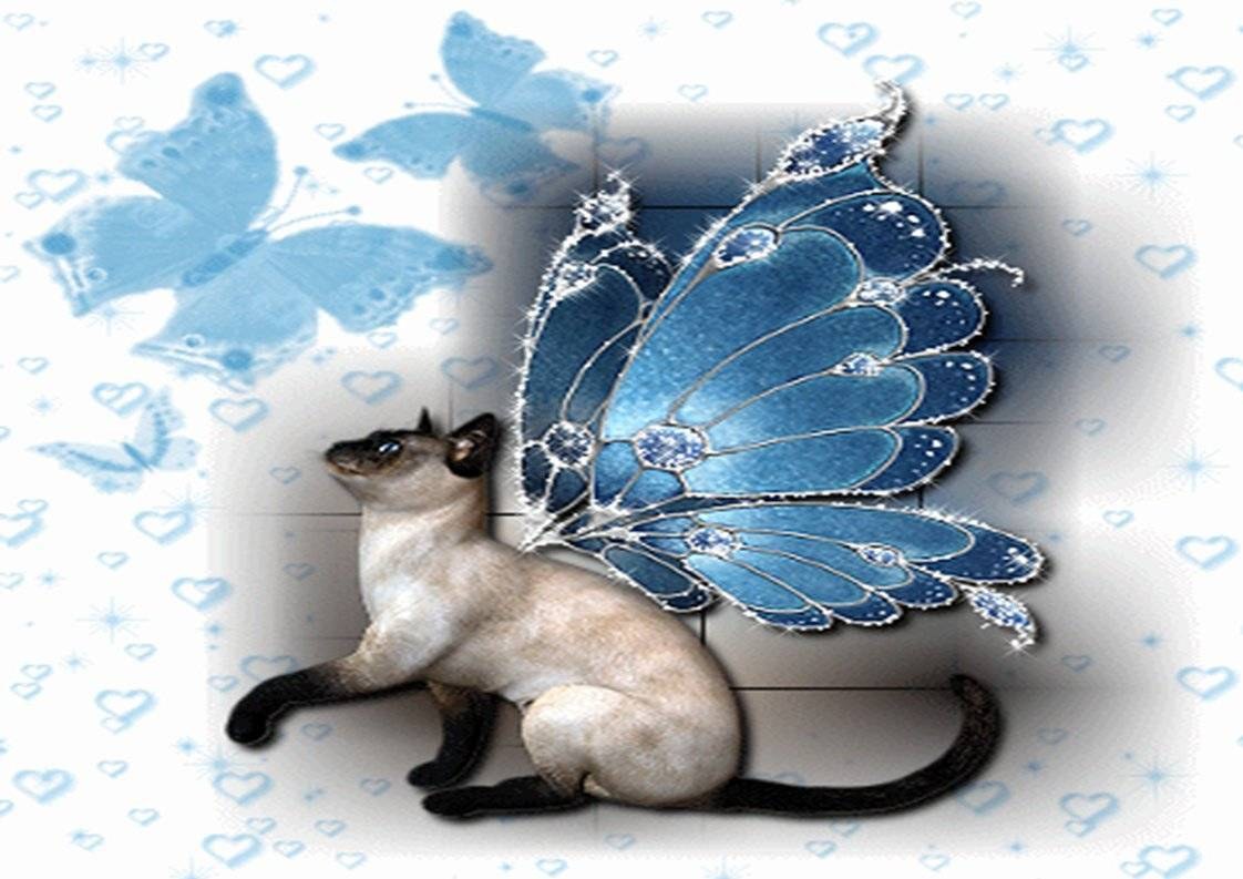Siamese cat with blue butterfly wings