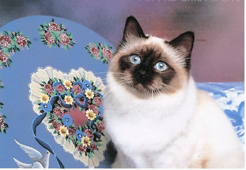 Siamese Cat with Blue Eyes — Calm, Illustration