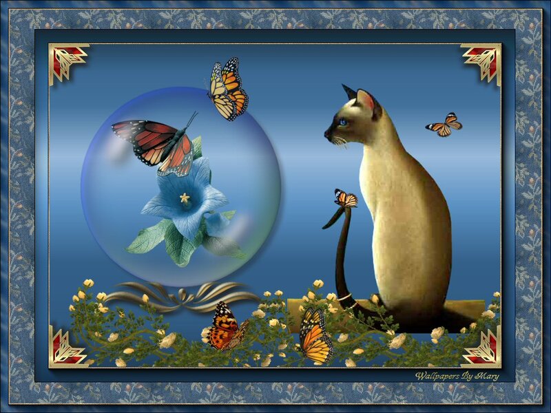 Siamese Cat with Butterflies — Blue