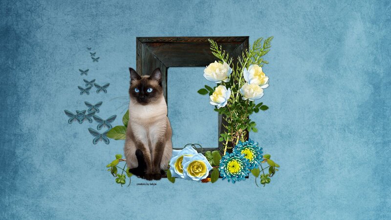 Siamese Cat with Flowers — Blue, Serene