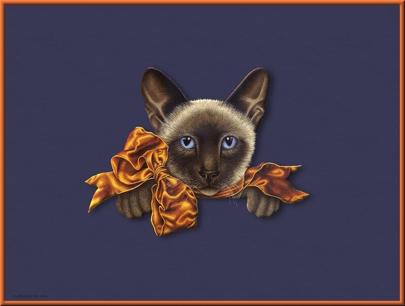 Siamese cat with golden bow