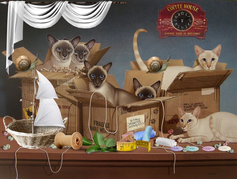 Siamese Cats in Boxes — Brown