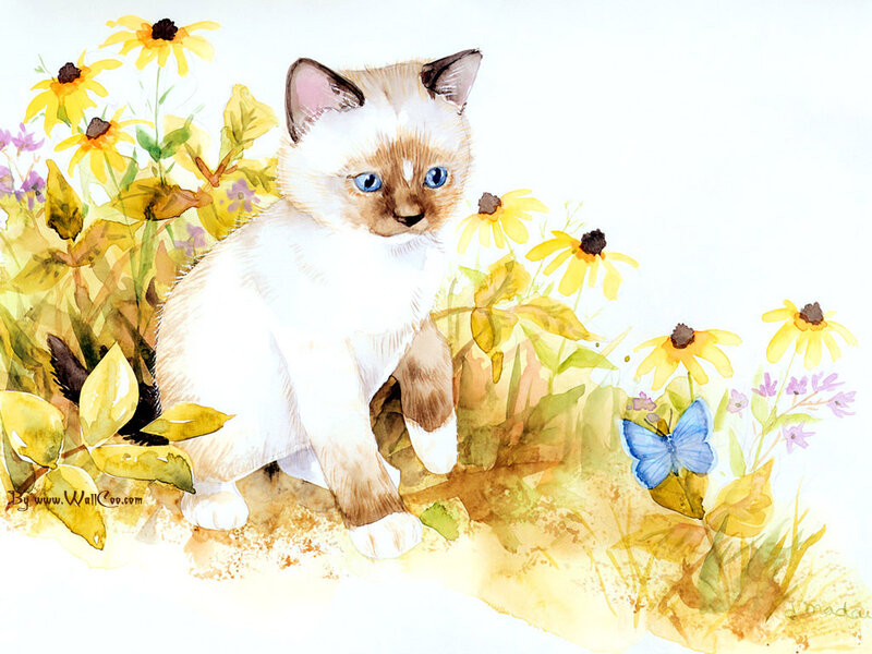 Siamese Kitten in Flowers — Yellow