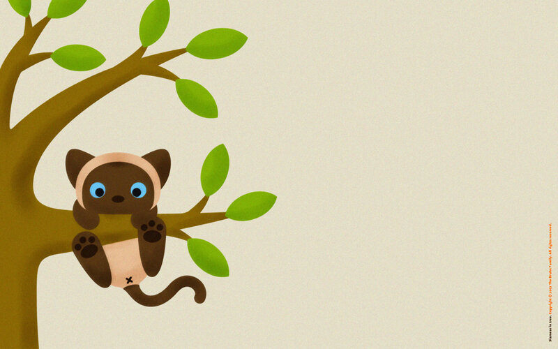 Siamese Kitten in Tree