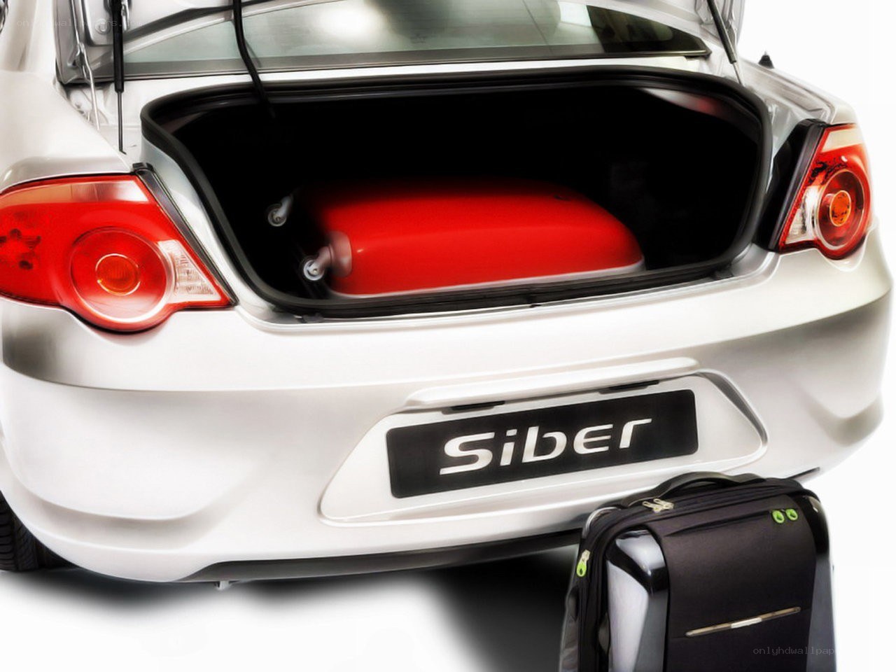 Siber car trunk with luggage