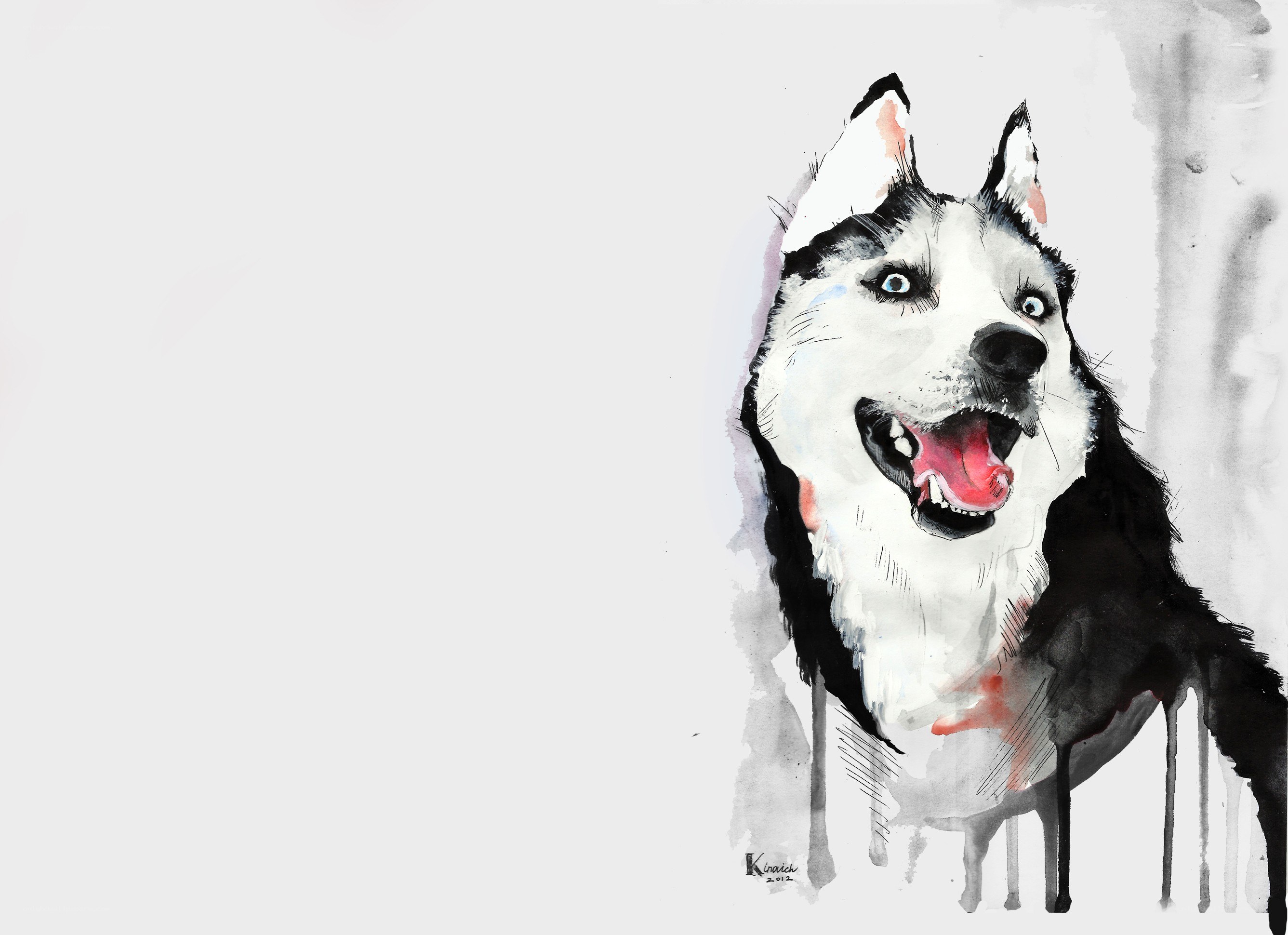 Siberian Husky portrait
