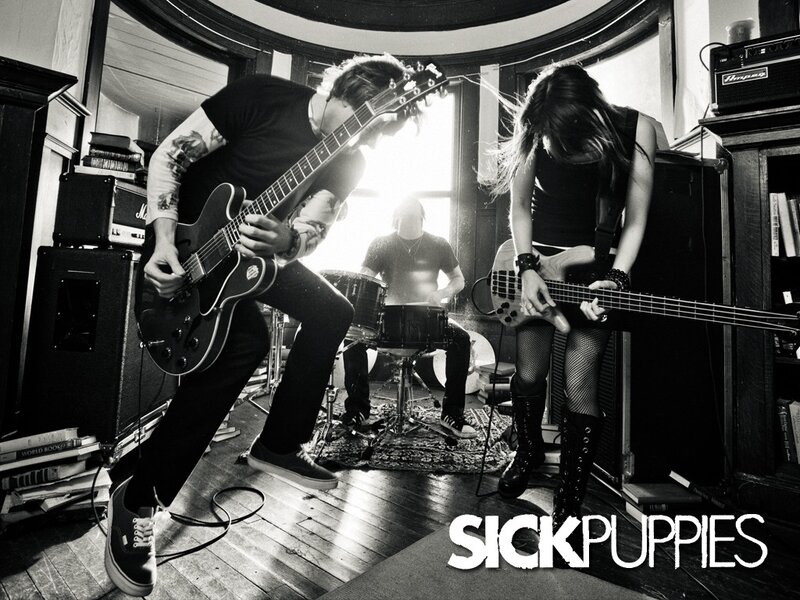 Sick Puppies band performing