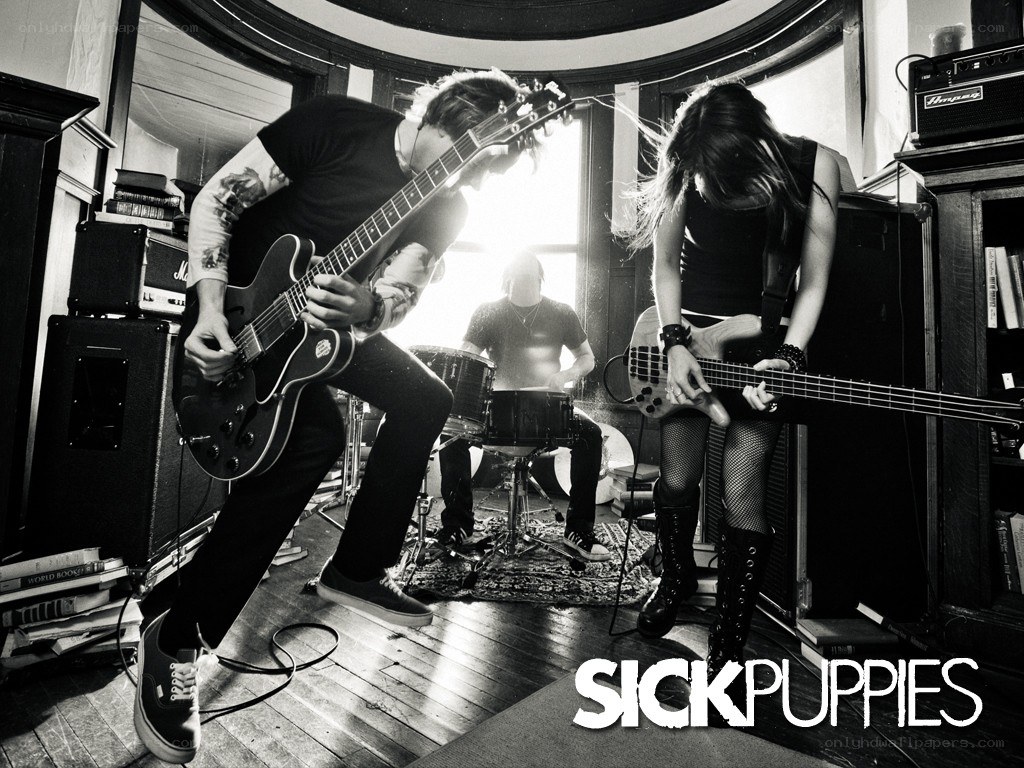 Sick Puppies band performing