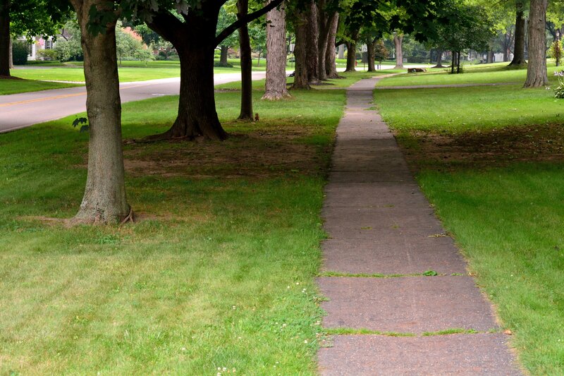 Sidewalk Lined with Trees
