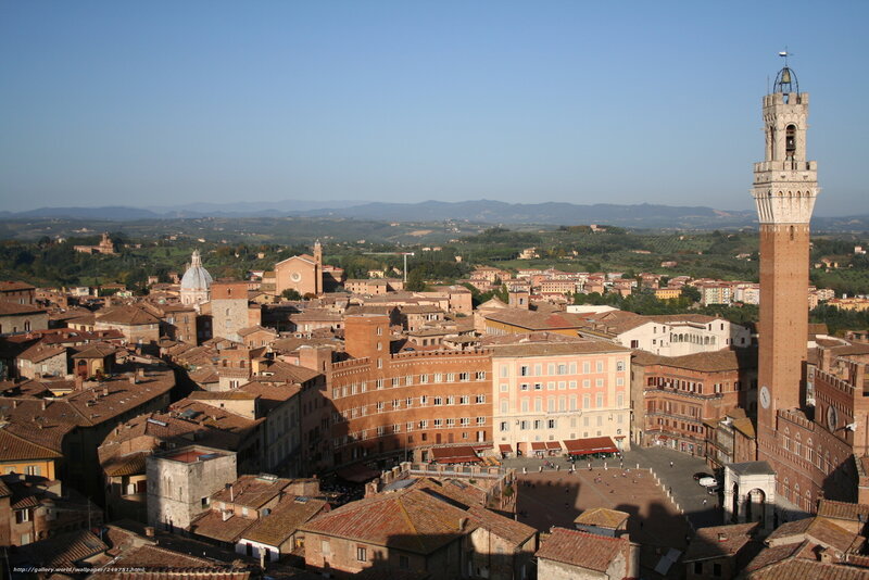 Siena cityscape with tower