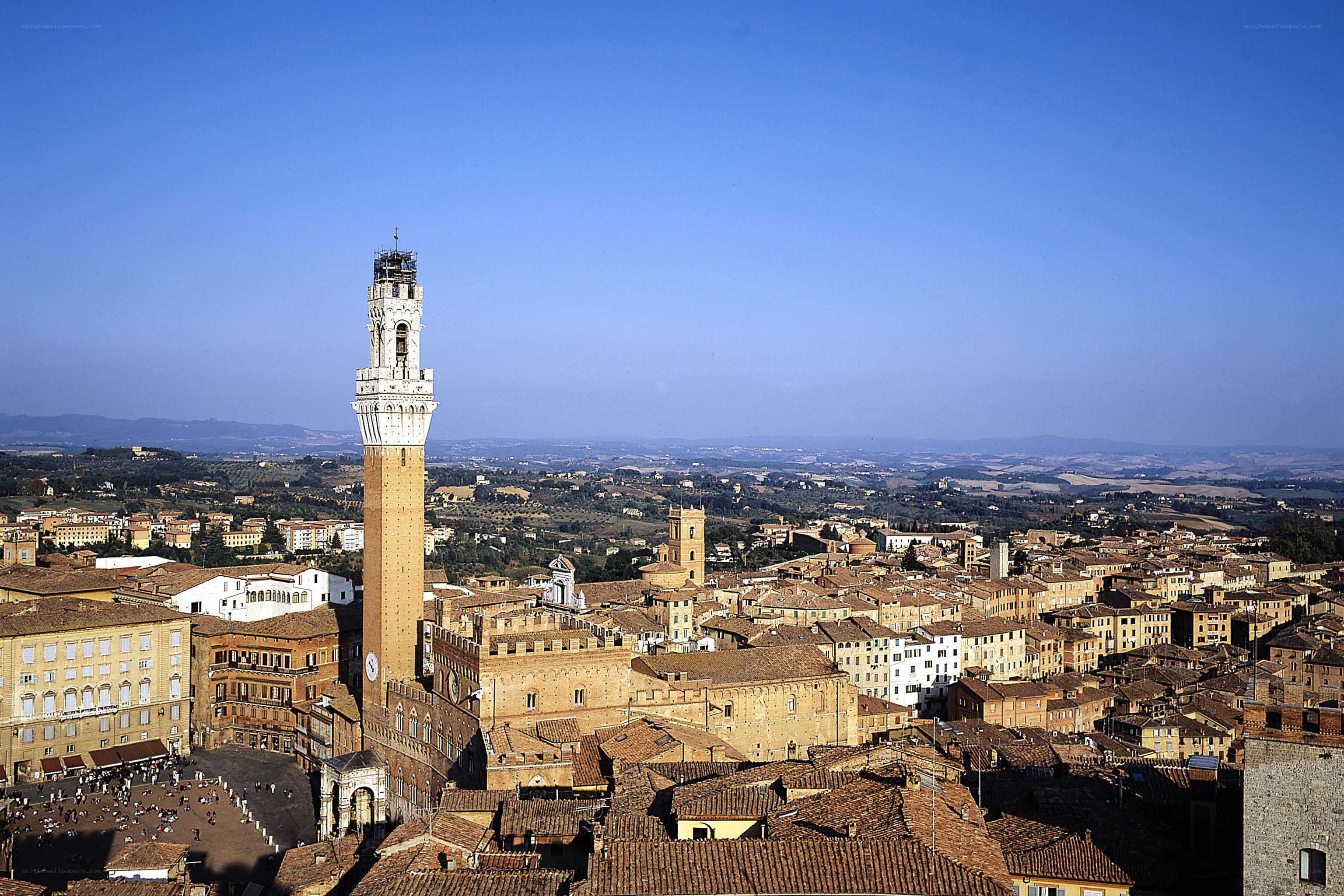 Siena skyline with tower
