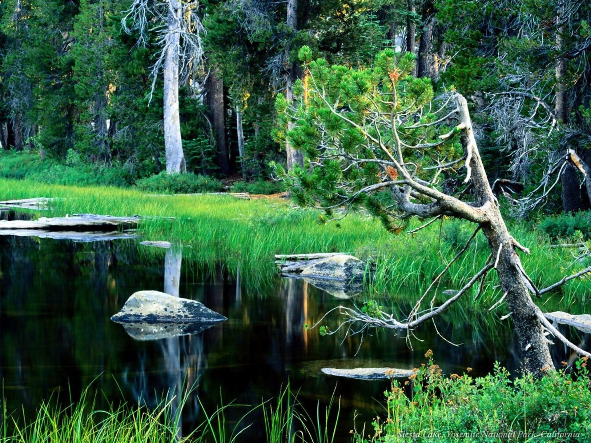 Siesta Lake in Yosemite