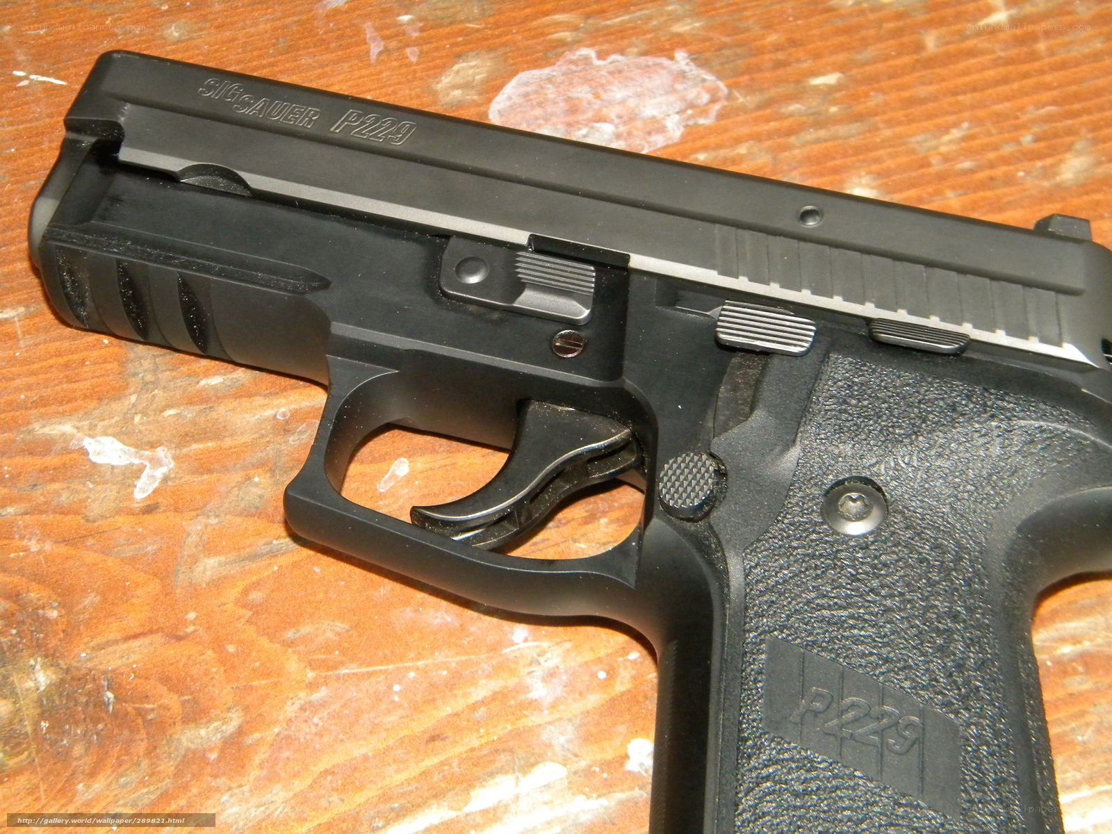 Sig Sauer P229 pistol