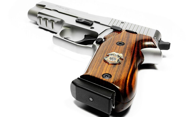 SIG Sauer Pistol — Silver, Neutral