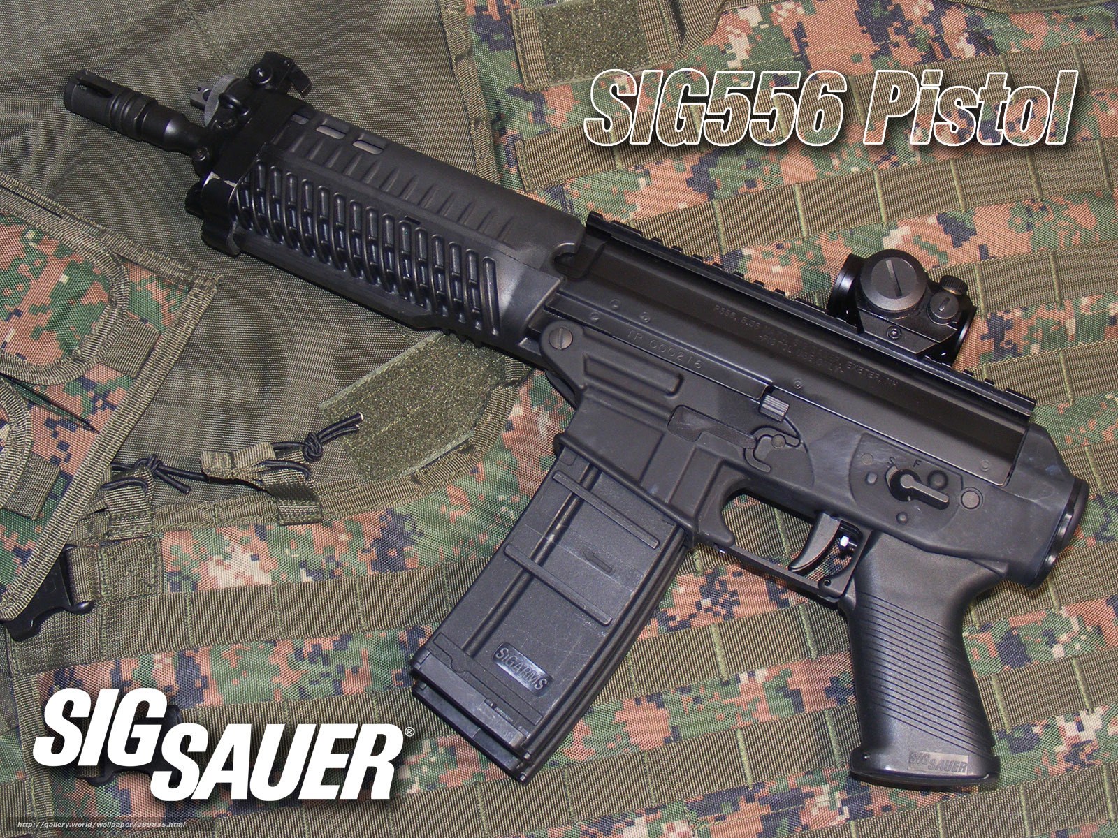 SIG556 Pistol firearm