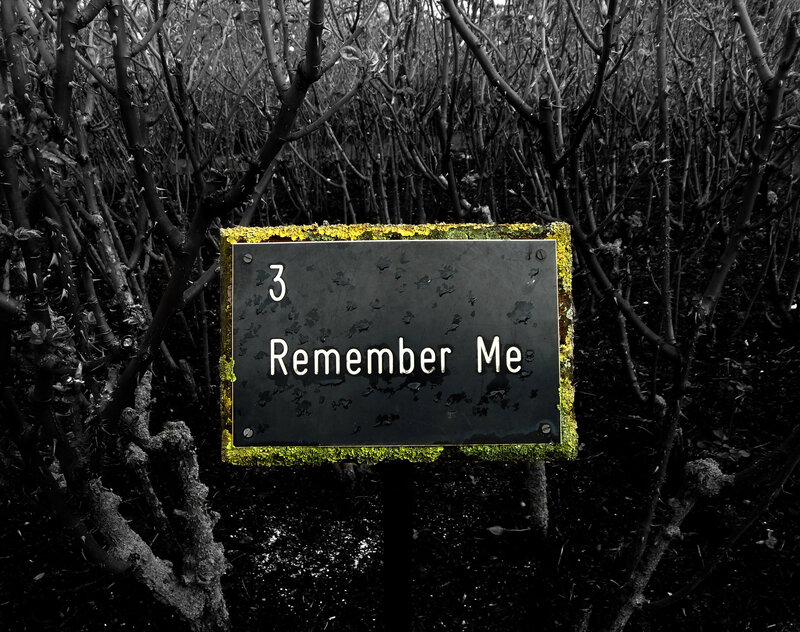Sign in Rose Bushes