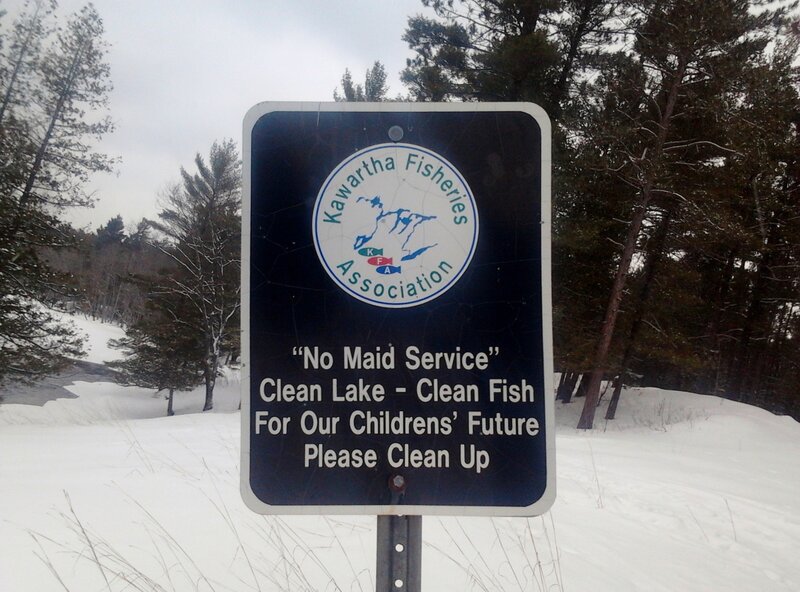 Sign in Snowy Forest