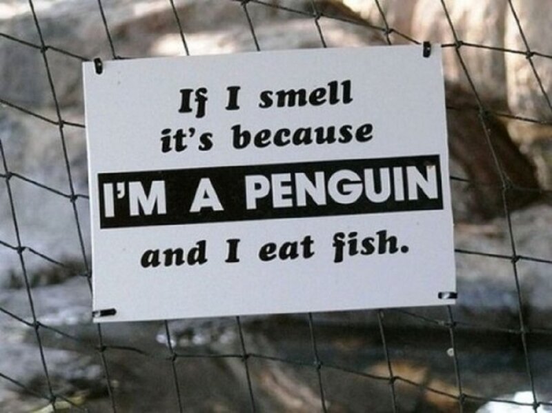 Sign on a Fence — White, Humorous