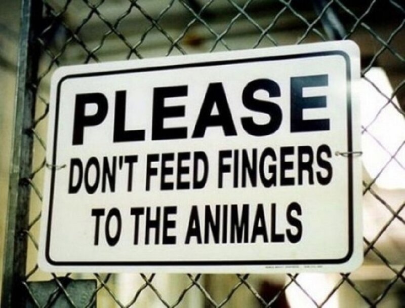 Sign on Chain-link Fence — White