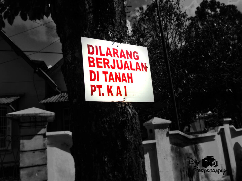 Sign on Tree Trunk