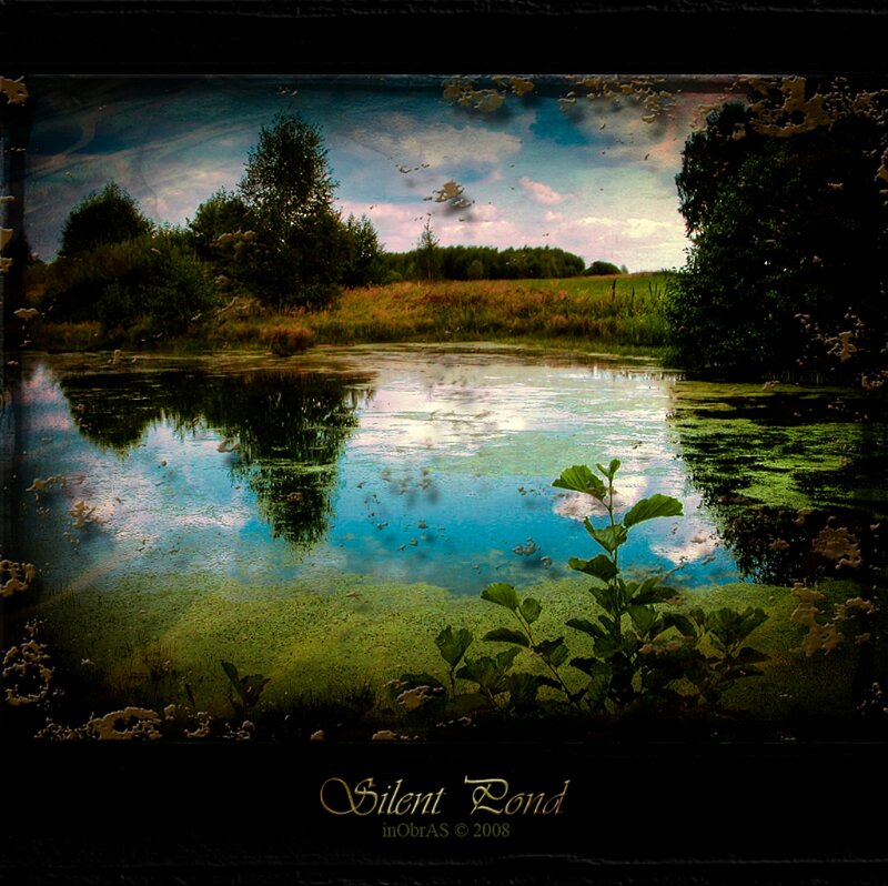 Silent Pond with Algae