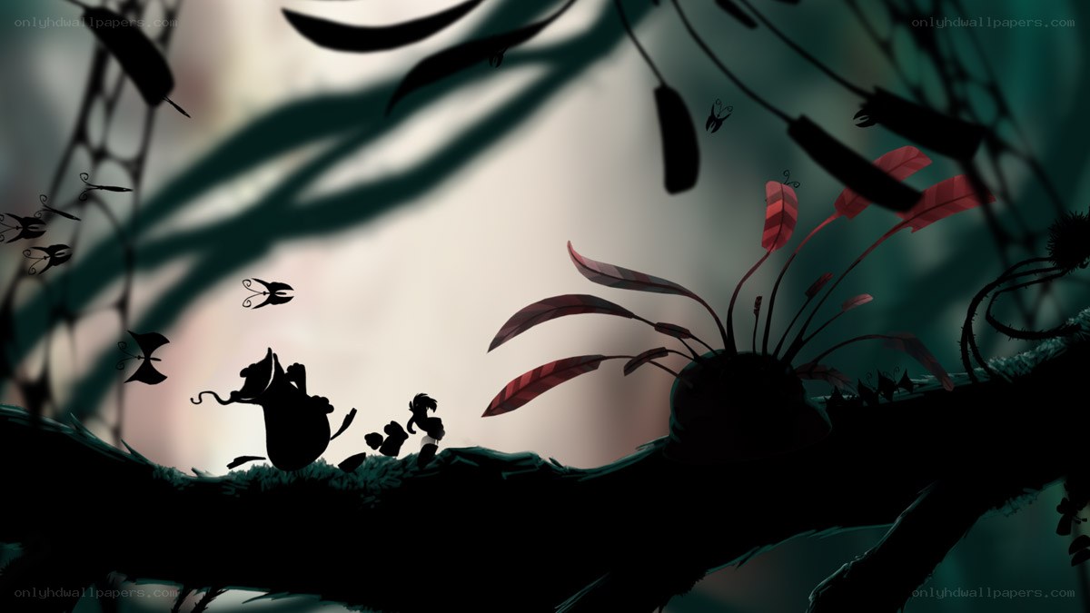 Silhouette adventure in a dark forest
