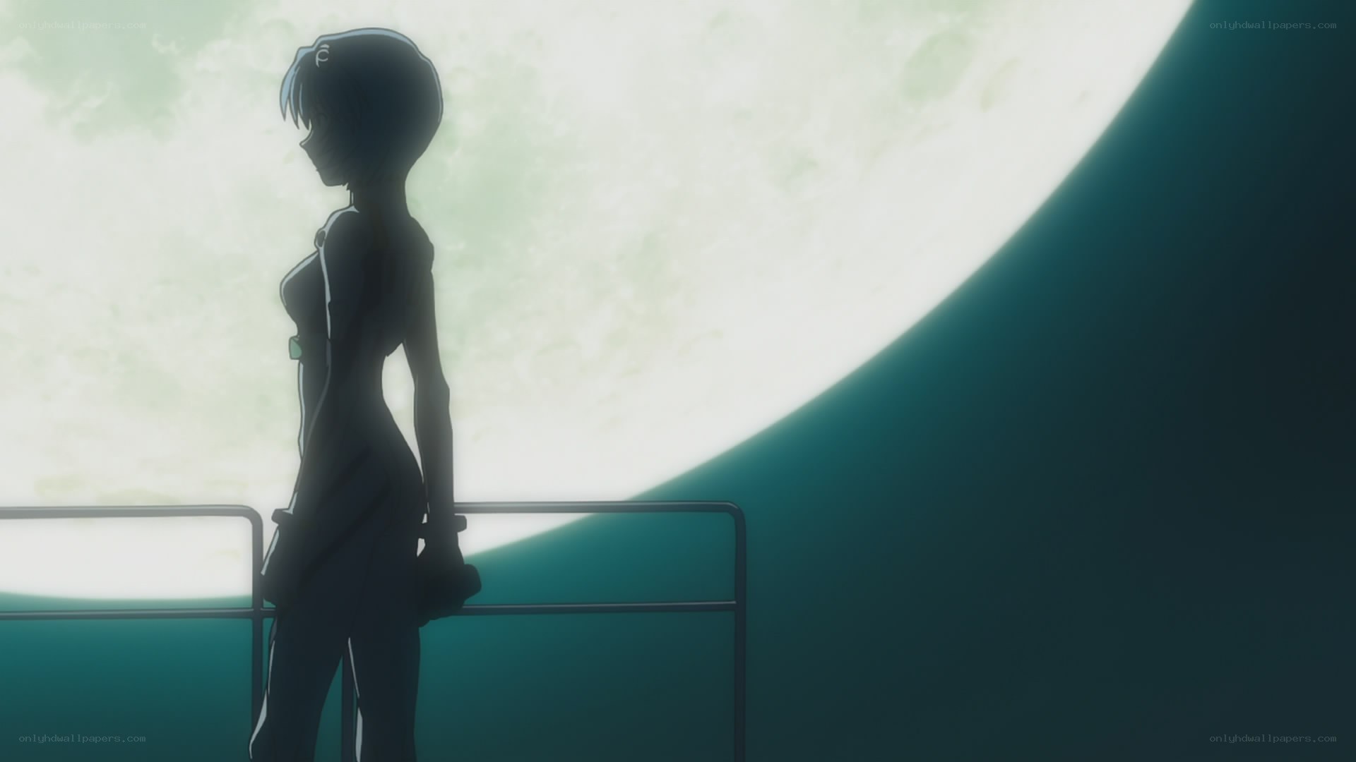 silhouette against a large moon