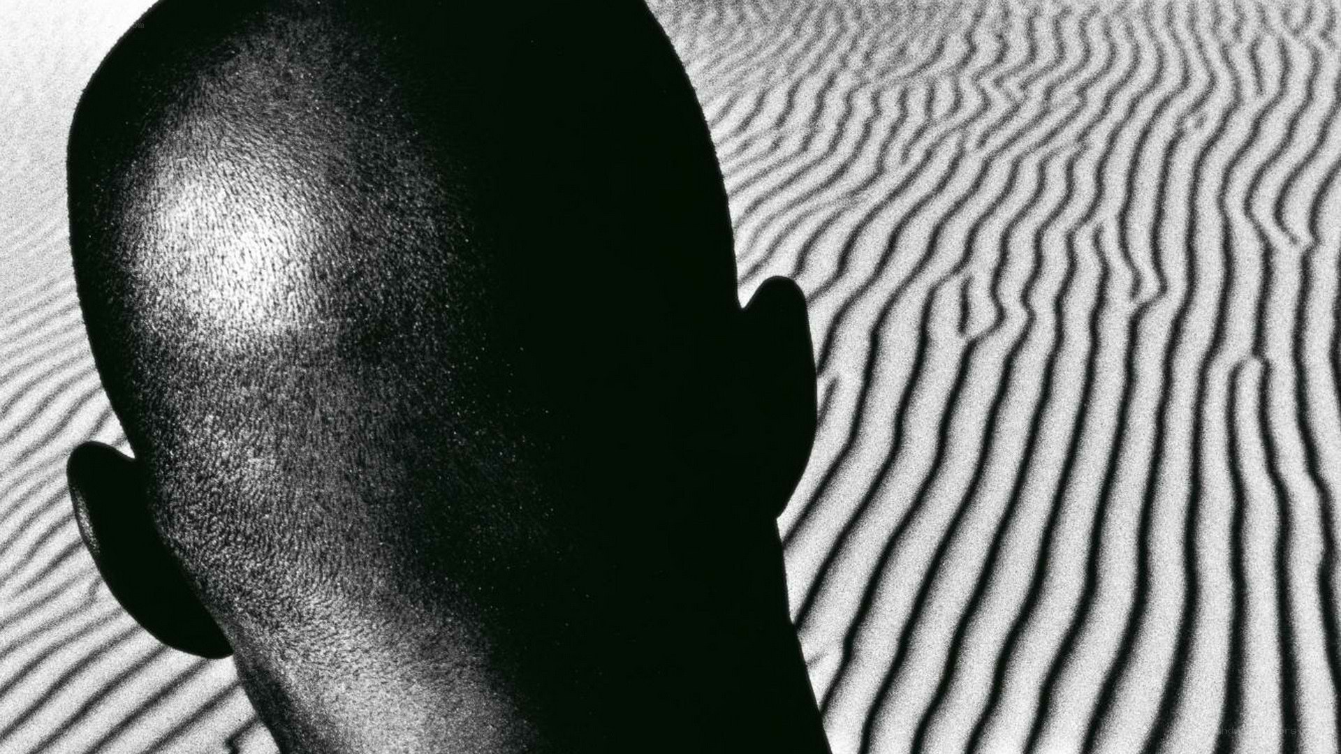 silhouette against sand dunes