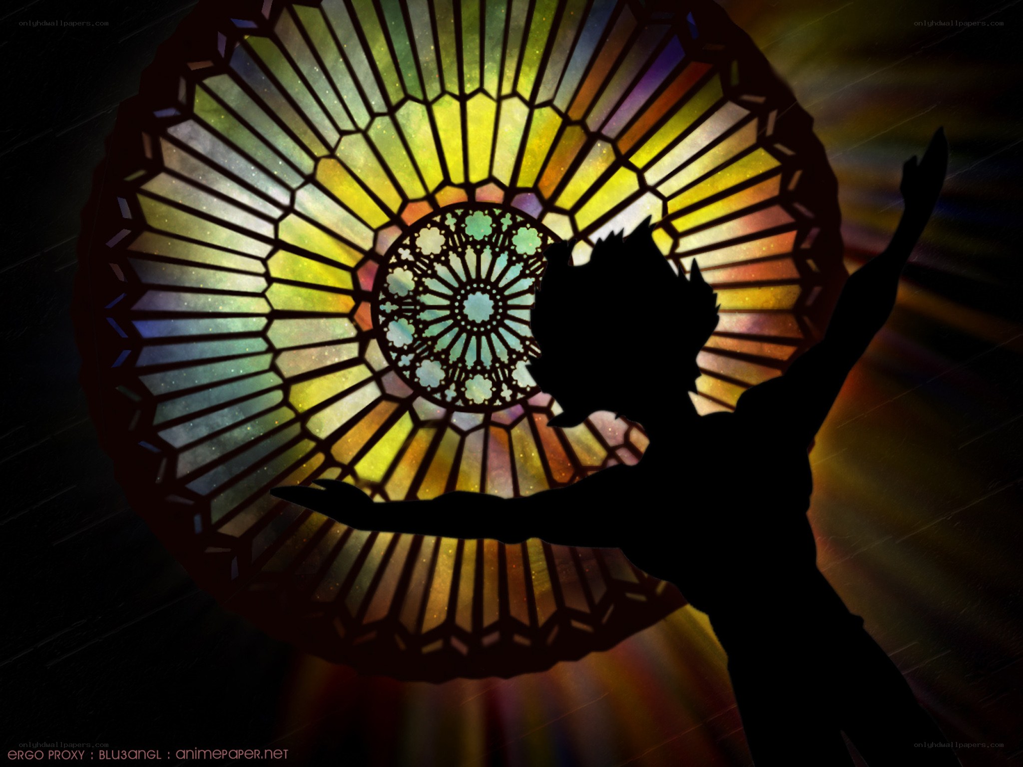 silhouette against stained glass