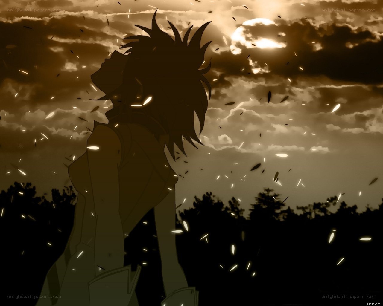 silhouette against sunset sky