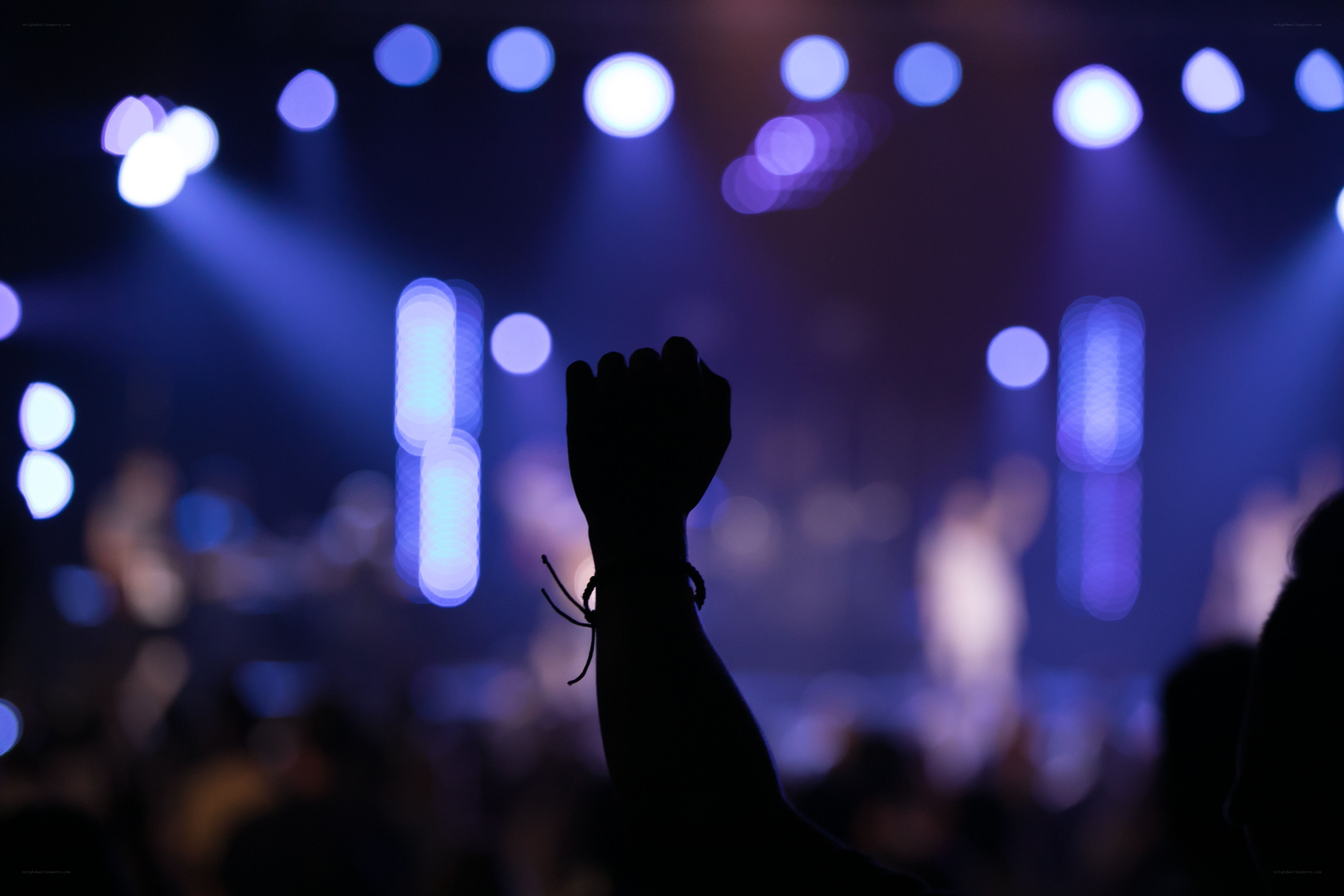 silhouette at a concert