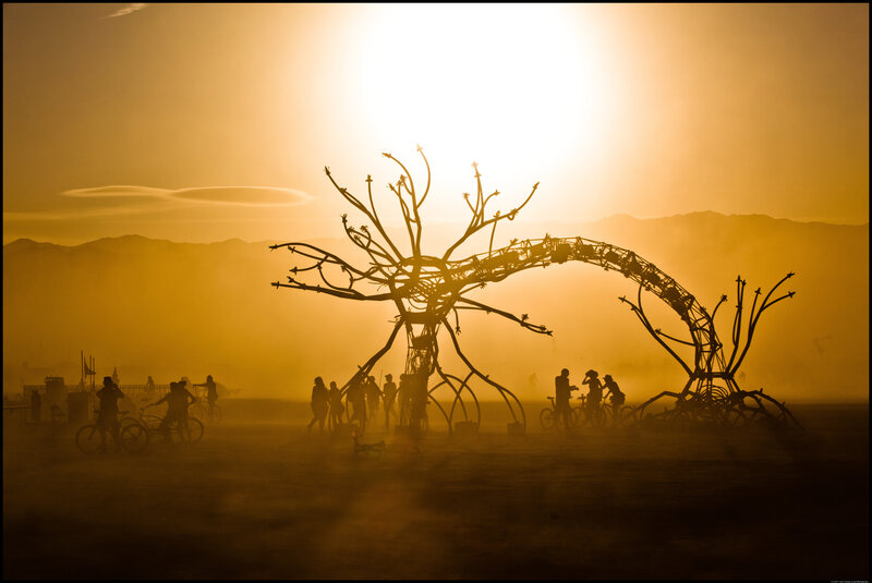 Silhouette at Burning Man